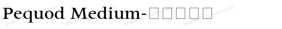 Pequod Medium字体转换